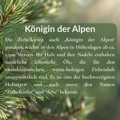 Flüssigseife Zirbe